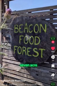 Beacon Food Forest Seattle